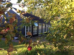 Venue Mindful Silence Retreat - large shed