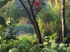 Mindful Silence Retreat - Serene garden