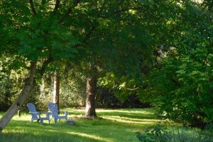 Mindful Silence Retreat Venue Garden